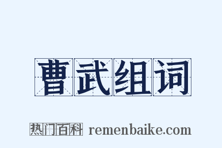 曹武组词是什么意思的图片